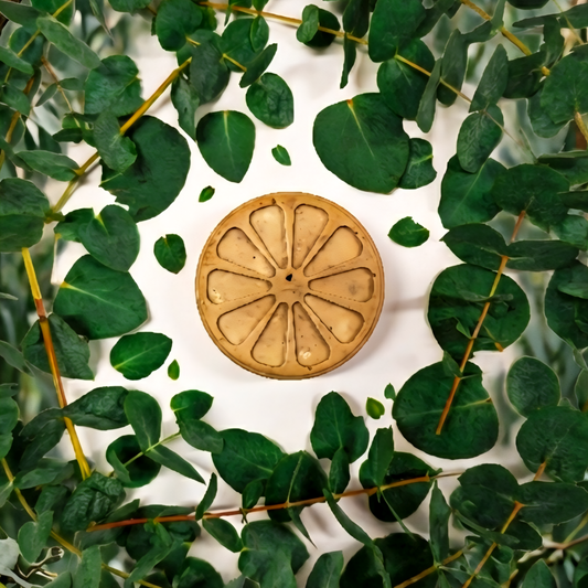 Osviežovač vzduchu - Eukalyptus